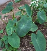 565745781341421722-e1750117489360